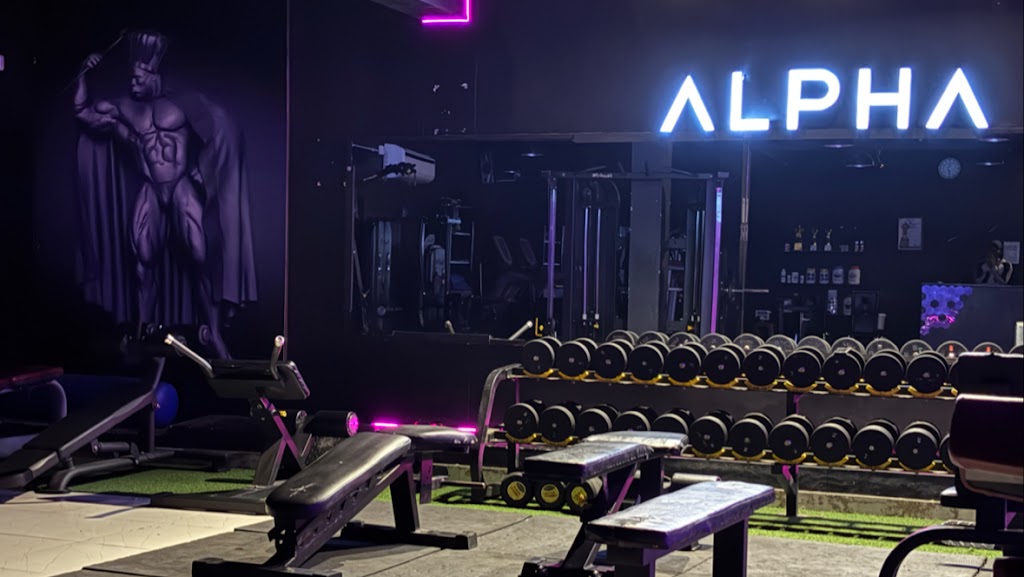 The Alpha Gym And Fitness Centre Ac