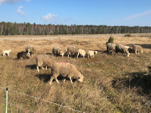 Ievērojamu vietu apskate