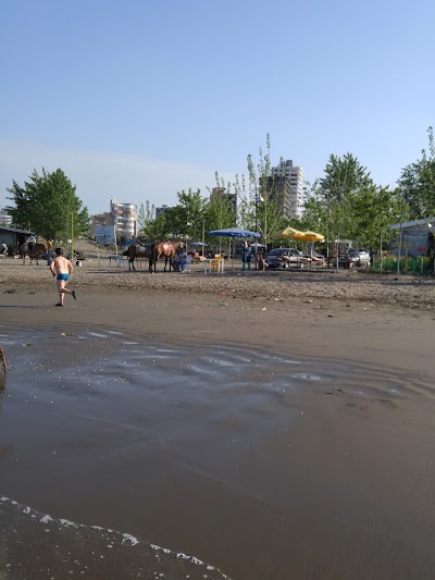 Photos of Family beach Babolsar