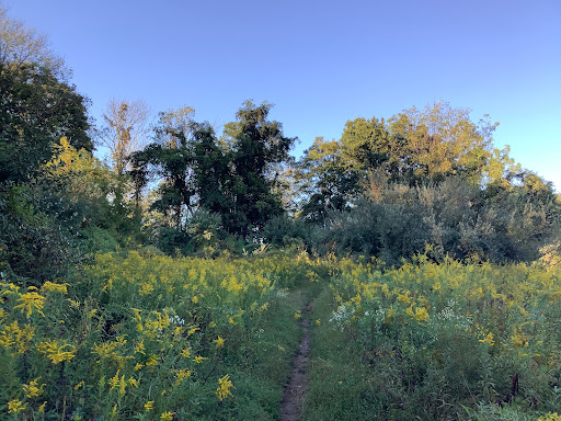 Foran Fields - Thumbnail