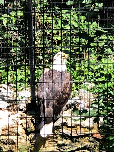 Brandywine Zoo Parking