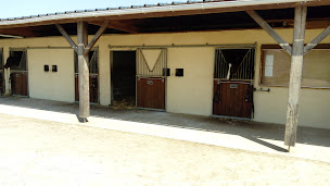 Photo n°5 de Ecurie D Ulys à Saint-Pierre-en-Auge (Centre équestre)