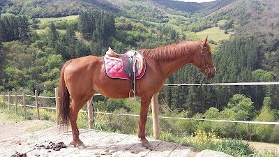 Photos of Aravalle Equestrian Center