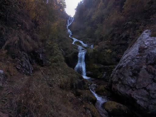 Gambin - Visual