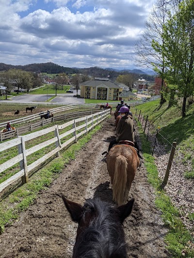 Five Oaks Riding Stables