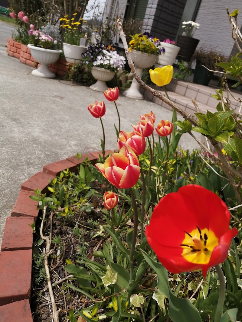 リンパトリートメント柴家(しばけ)