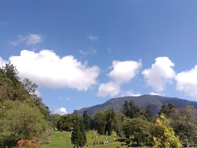 Photos of Kebun Raya Cibodas (Cibodas Botanic Garden)