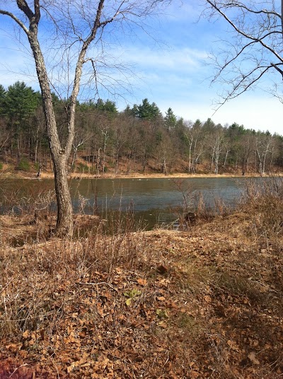 Photos of Sylvania Tree Farm