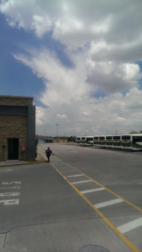 Talleres Mexibus L3