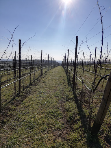 Strada dei dieci capitelli - Thumbnail