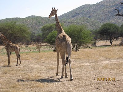 Photos of Okapukaberg