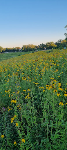 Buffalo Creek Forest Preserve - Thumbnail