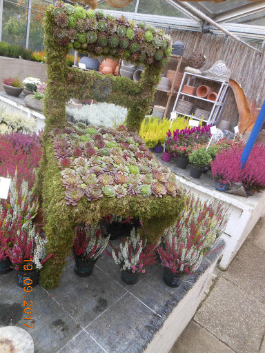 Blumen Lessle - Visual