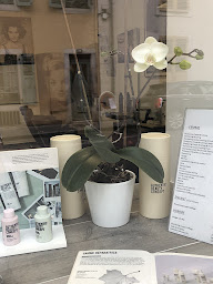 Photo n°10 de Derlin Christophe à Pau (Salon de coiffure)