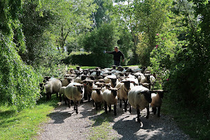 Photo n°36 de Camping LA SAFRIERE * * * à Ponthoile (Terrain de camping)