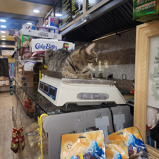 324 Brighton Beach Grocery - Thumbnail