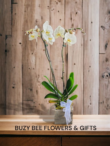 Buzy Bee Flowers And Gifts