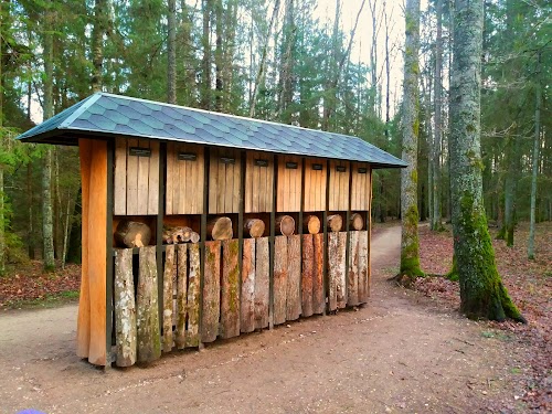 Durbino apžvalgos bokštas