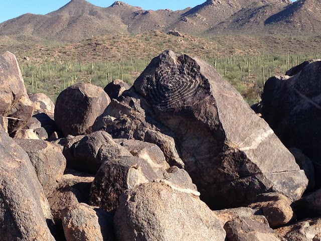 Parc national de Saguaro