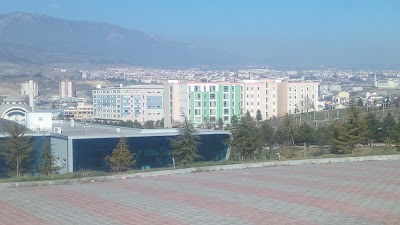 Karabük University Institute for Demir Çelik