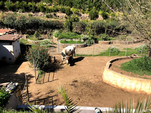 BurroParque - Visual