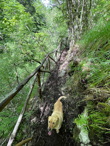 Parco Gole del Calore Piaggine(SA) - Thumbnail