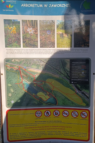 Arboretum - Jaworzno