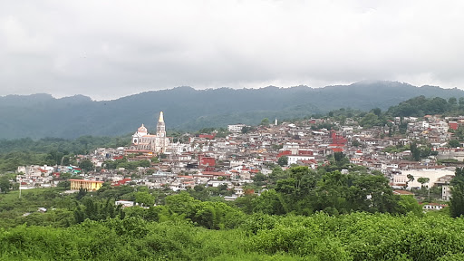 Ajpasat - Visual