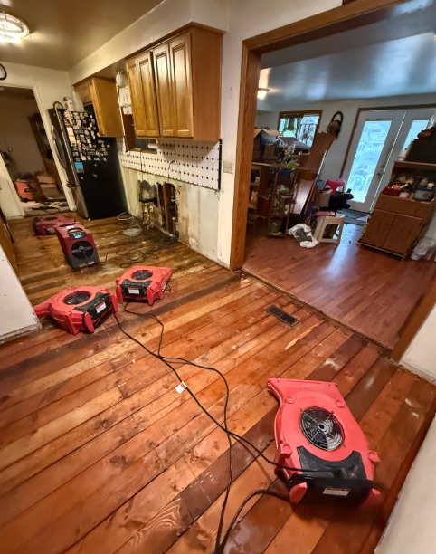 PuroClean of Northeast Tacoma photo
