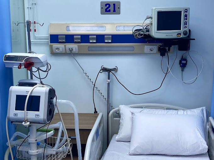 مستشفى بروك الخيرى لعلاج الحيوان - صورة 3