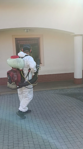 Mortyl Ochrona przed szkodnikami HACCP, Usługi DDD, Odszczurzanie, odpluskwianie, odkleszczanie - Inny