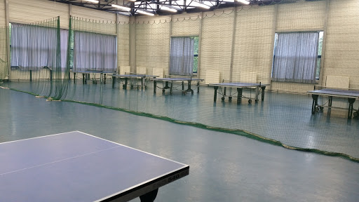 Gymnase Gounot - Thumbnail