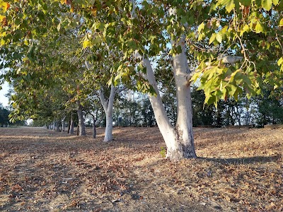 Red Bluff Recreation Area