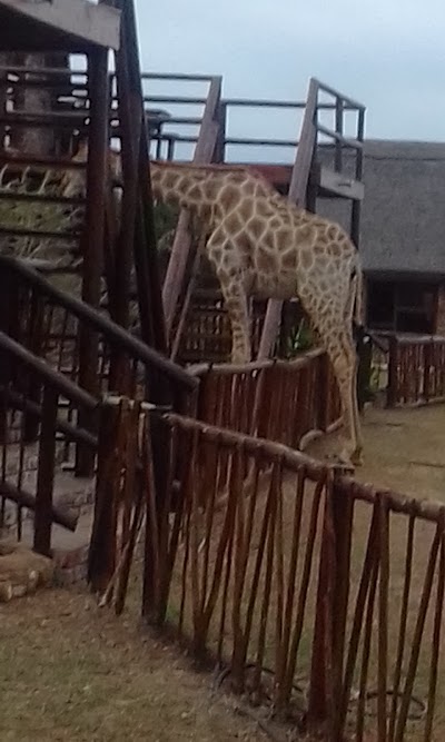 Photos of Charihandra Private Game Lodge