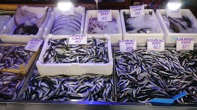 Photos of MEŞHUR BALIK&Ccedil;I MİTHAT