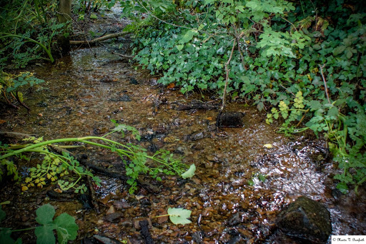 St Agnes' Well - Thumbnail