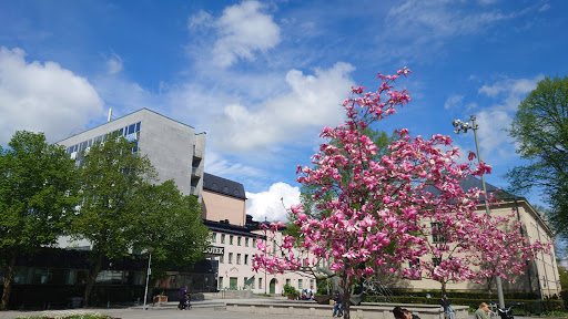 Eskilstuna stadsbibliotek - Thumbnail