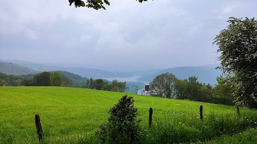 Weidenbachtal mit Nebenbächen bis zum Rurseeufer - Thumbnail