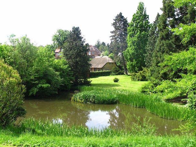 The Botanical Garden