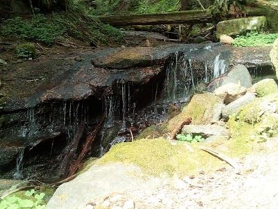 Parker Creek Falls