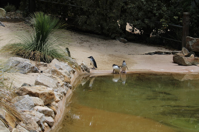 National Zoo & Aquarium