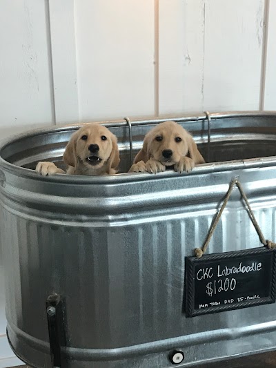 Puppy Barn