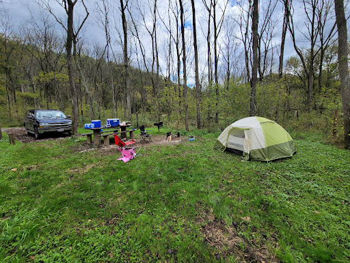 Ring Mill Campground - Visual