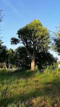 あかつき台6号公園