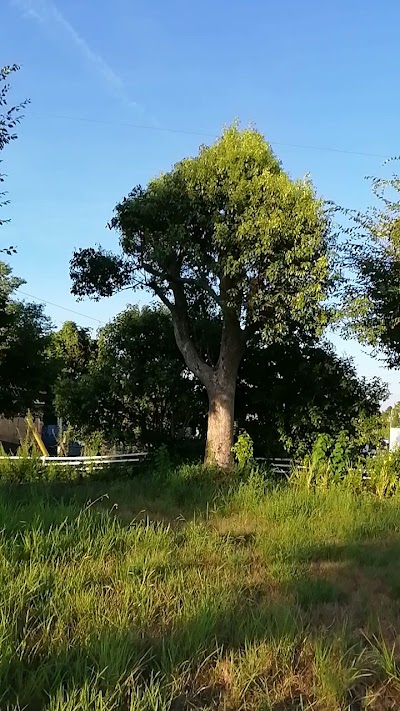 あかつき台6号公園