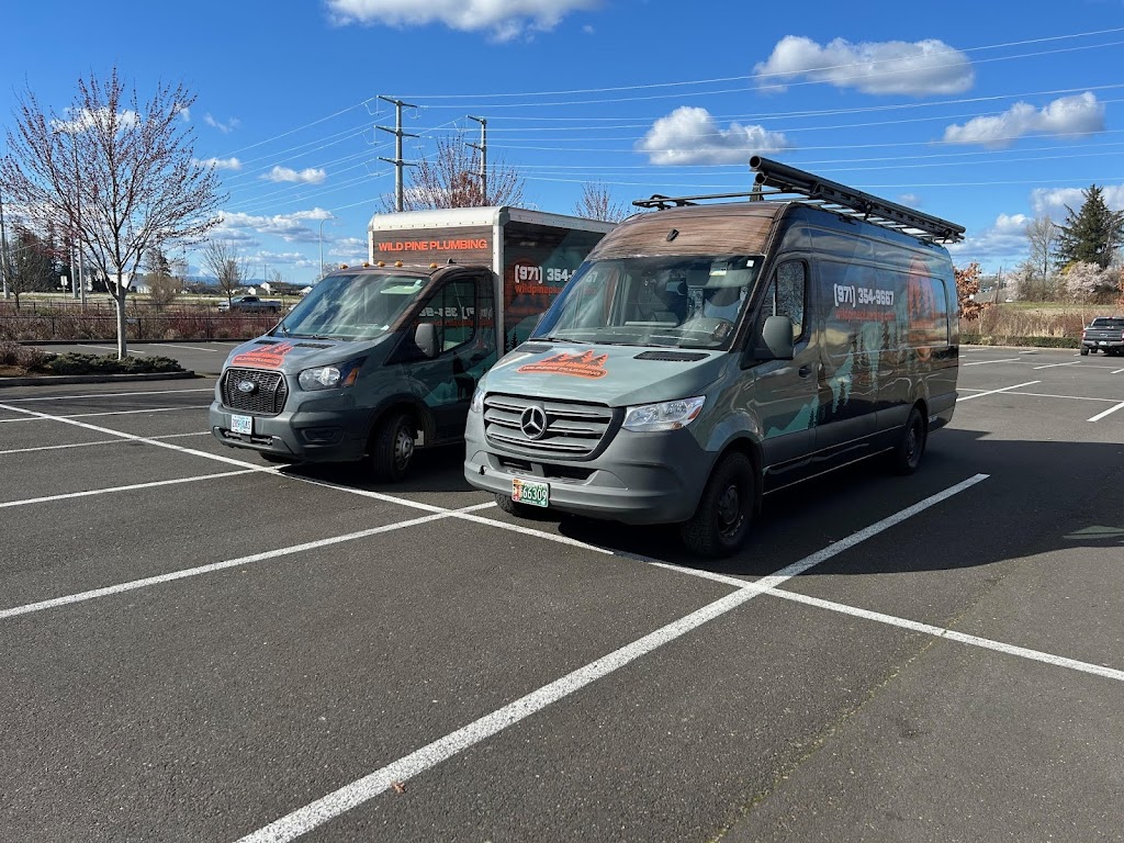 Wild Pine Plumbing - Plumbing Services