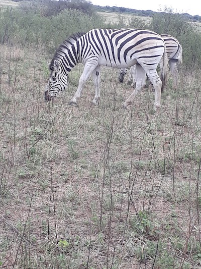 Photos of Khama Rhino Rest Camp