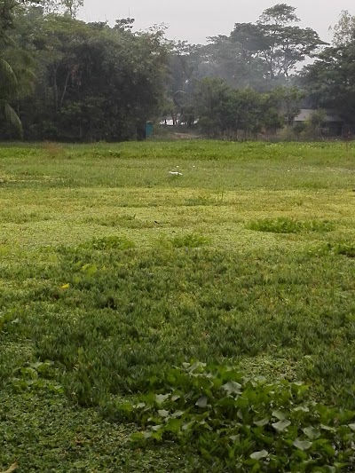 mosque