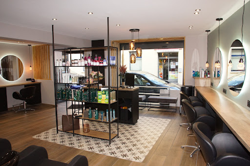 SALON DANIEL STEPHAN ETRECHY - Thumbnail