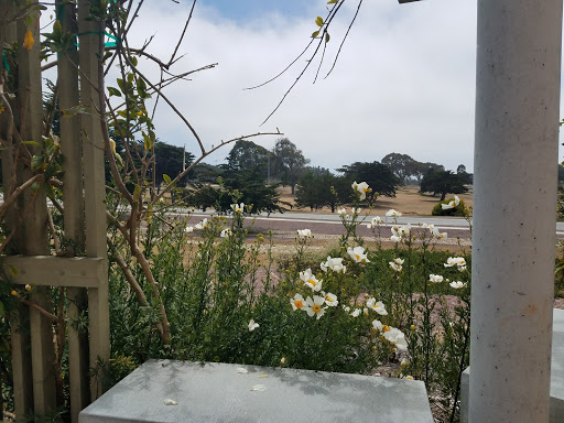 Parking Lot 97 - Thumbnail